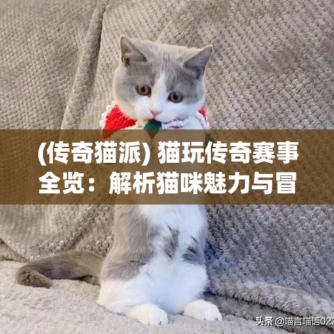 (传奇猫派) 猫玩传奇赛事全览：解析猫咪魅力与冒险故事的交融，传奇之旅等你探索！